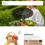 ByteWeb - Creare Site-uri & Magazine Online