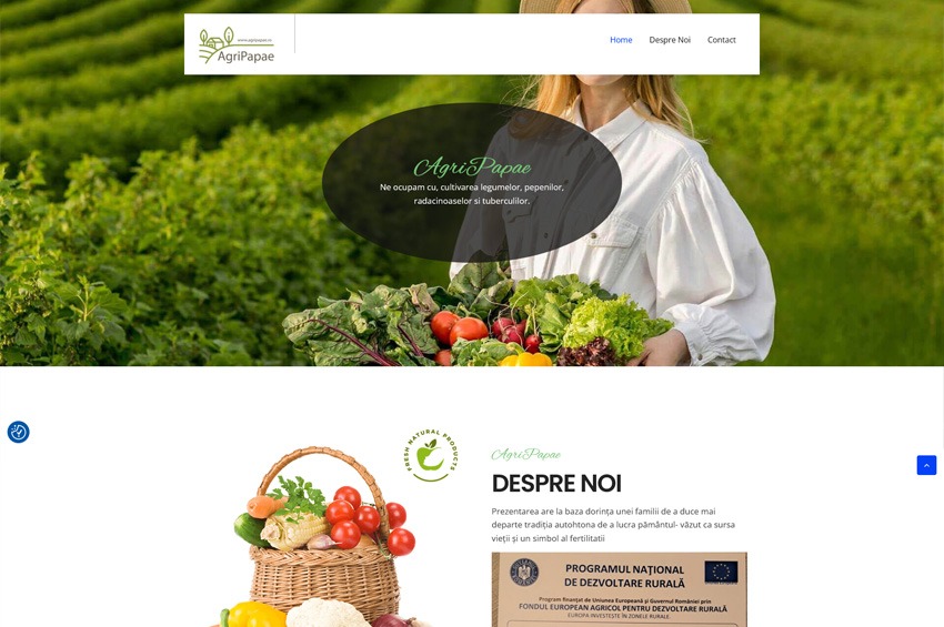ByteWeb - Creare Site-uri & Magazine Online