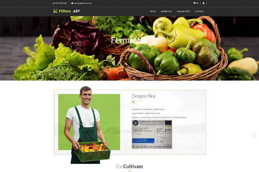 ByteWeb - Creare Site-uri & Magazine Online
