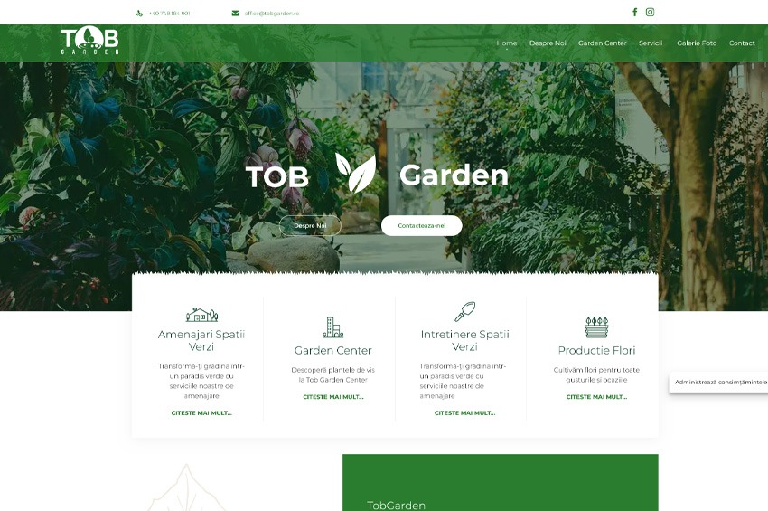 ByteWeb - Creare Site-uri & Magazine Online